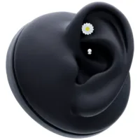 Schwarzes Piercing mit weißer Blume, platziert in einem schwarzen Ohr-Modell